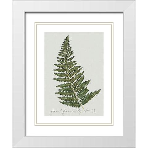 Fern Studies I White Modern Wood Framed Art Print with Double Matting by Robinson, Carol