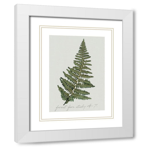 Fern Studies II White Modern Wood Framed Art Print with Double Matting by Robinson, Carol