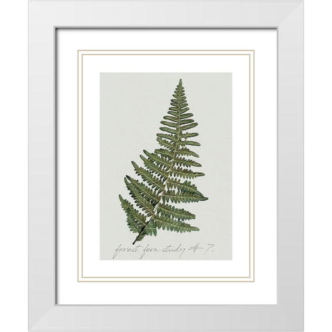Fern Studies II White Modern Wood Framed Art Print with Double Matting by Robinson, Carol