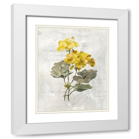 Canary Linen Geranium White Modern Wood Framed Art Print with Double Matting by Robinson, Carol