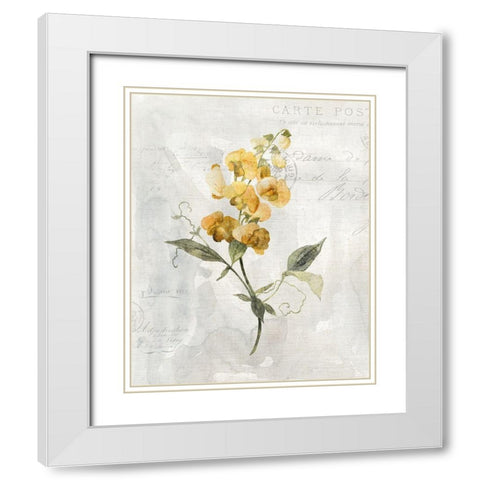 Canary Linen Sweetpea White Modern Wood Framed Art Print with Double Matting by Robinson, Carol