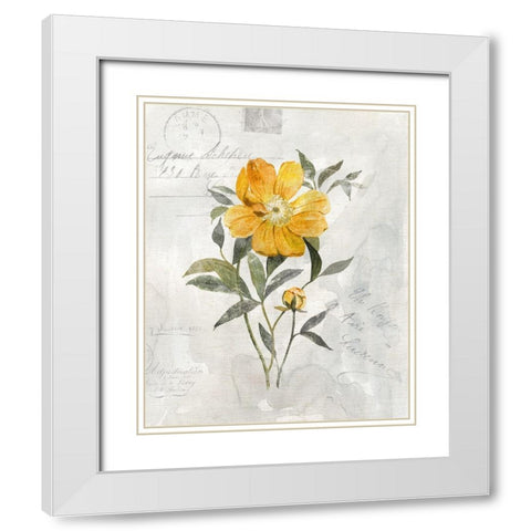 Canary Linen Peony White Modern Wood Framed Art Print with Double Matting by Robinson, Carol