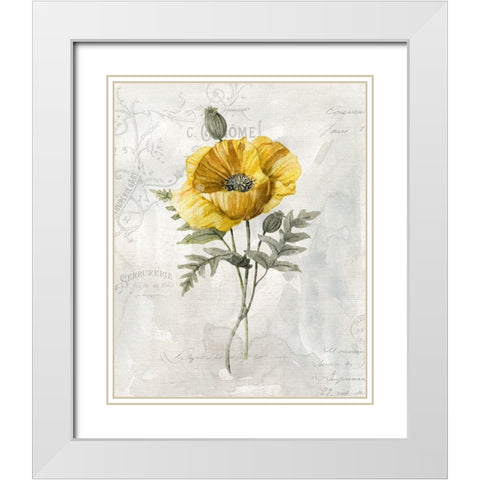 Canaray Linen Poppy White Modern Wood Framed Art Print with Double Matting by Robinson, Carol