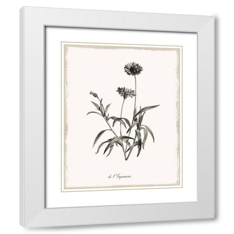 Sketchbook Imperial White Modern Wood Framed Art Print with Double Matting by Donovan, Kelly