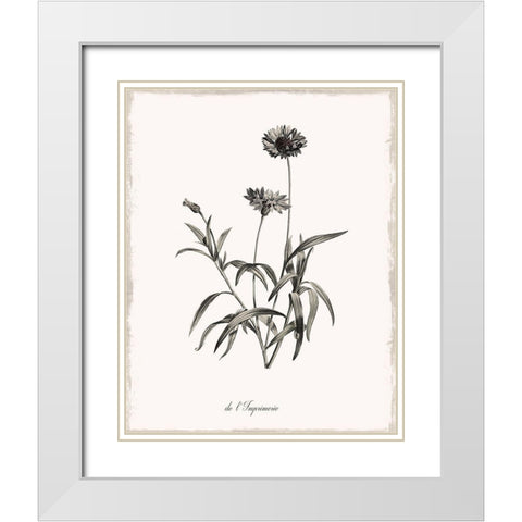 Sketchbook Imperial White Modern Wood Framed Art Print with Double Matting by Donovan, Kelly