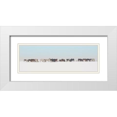 Big Sky Country White Modern Wood Framed Art Print with Double Matting by Delimont, Danita