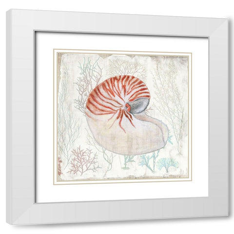 Coral and Shell I White Modern Wood Framed Art Print with Double Matting by Tava Studios
