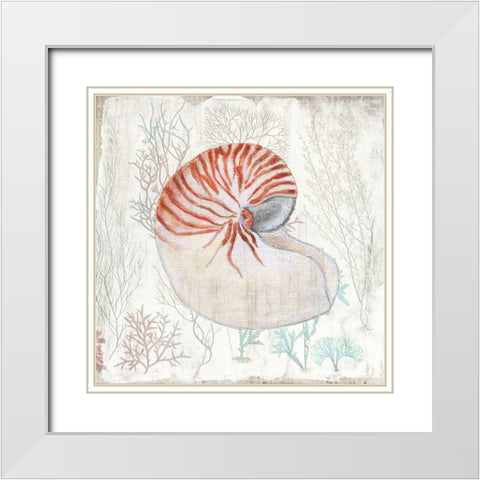 Coral and Shell I White Modern Wood Framed Art Print with Double Matting by Tava Studios