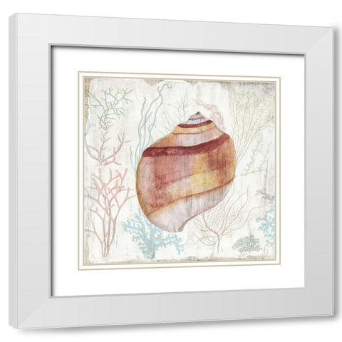 Coral and Shell II White Modern Wood Framed Art Print with Double Matting by Tava Studios