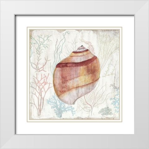 Coral and Shell II White Modern Wood Framed Art Print with Double Matting by Tava Studios