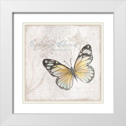 Postcard Butterfly II White Modern Wood Framed Art Print with Double Matting by Tava Studios
