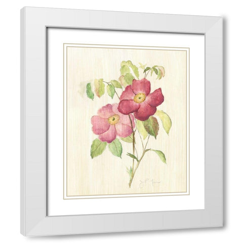 Dusty Rose II White Modern Wood Framed Art Print with Double Matting by Tava Studios