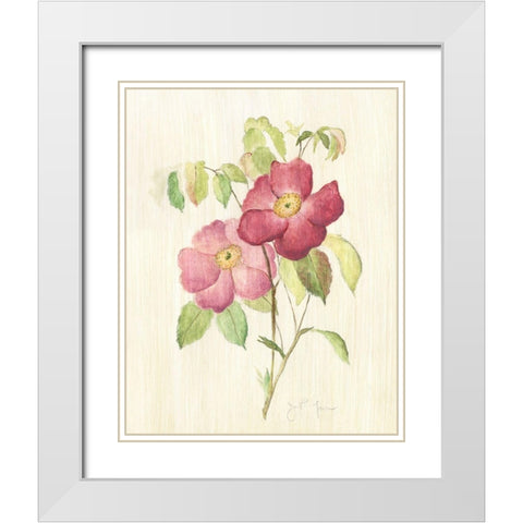 Dusty Rose II White Modern Wood Framed Art Print with Double Matting by Tava Studios