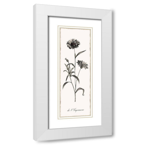 Slender Imperial White Modern Wood Framed Art Print with Double Matting by Donovan, Kelly