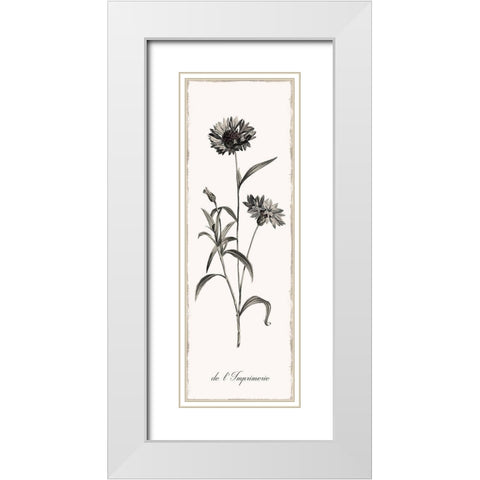Slender Imperial White Modern Wood Framed Art Print with Double Matting by Donovan, Kelly