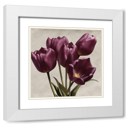 Royal Tulips White Modern Wood Framed Art Print with Double Matting by Levashov, Igor