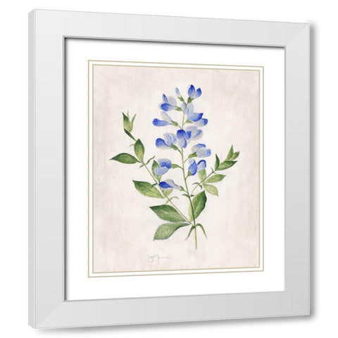 Blue Botanical II White Modern Wood Framed Art Print with Double Matting by Tava Studios