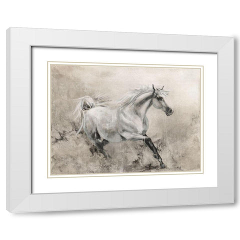 Majestic Stallion I White Modern Wood Framed Art Print with Double Matting by Brooks, Donna