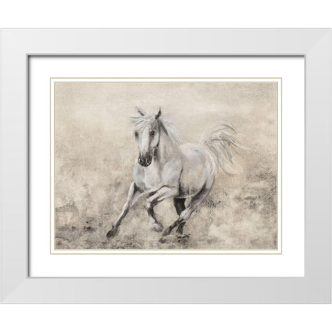 Majestic Stallion II White Modern Wood Framed Art Print with Double Matting by Brooks, Donna