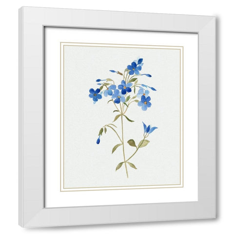 Blue Blossom Botanical II White Modern Wood Framed Art Print with Double Matting by Tava Studios