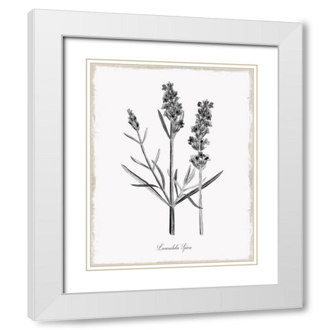 Simply Lavender White Modern Wood Framed Art Print with Double Matting by Donovan, Kelly