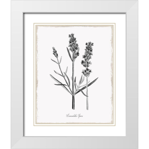 Simply Lavender White Modern Wood Framed Art Print with Double Matting by Donovan, Kelly
