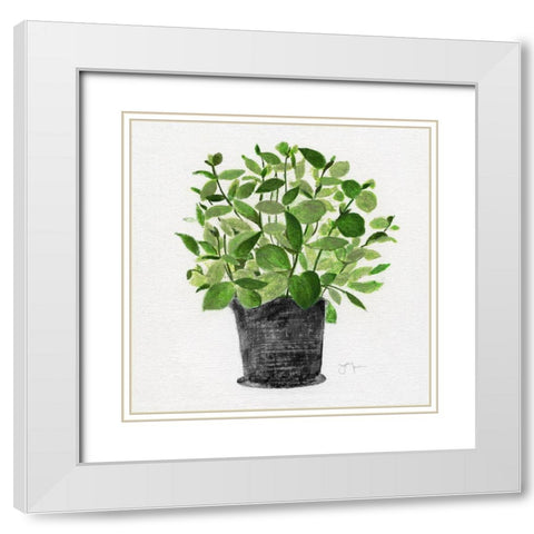 Herb Garden I White Modern Wood Framed Art Print with Double Matting by Tava Studios