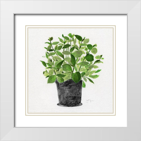 Herb Garden I White Modern Wood Framed Art Print with Double Matting by Tava Studios