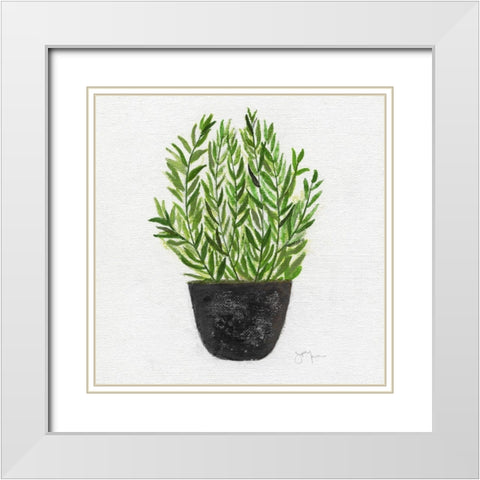 Herb Garden II White Modern Wood Framed Art Print with Double Matting by Tava Studios