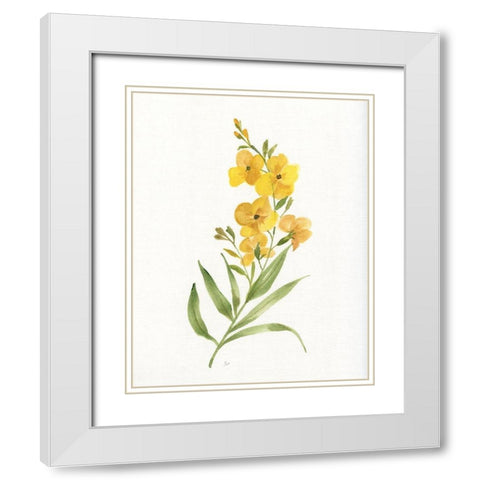 Ochre Botanical II White Modern Wood Framed Art Print with Double Matting by Nan