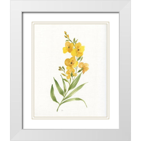 Ochre Botanical II White Modern Wood Framed Art Print with Double Matting by Nan