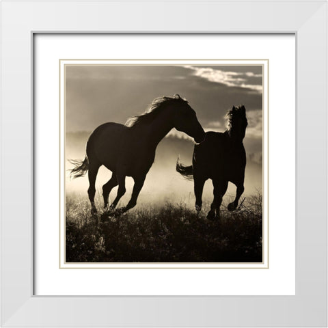 Ponderosa Sunset White Modern Wood Framed Art Print with Double Matting by Delimont, Danita