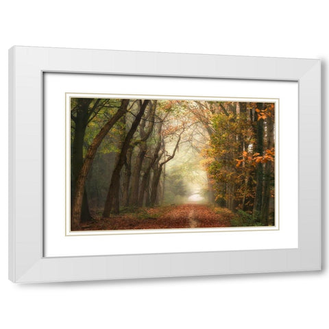 Path of Dreams White Modern Wood Framed Art Print with Double Matting by Van de Goor, Lars