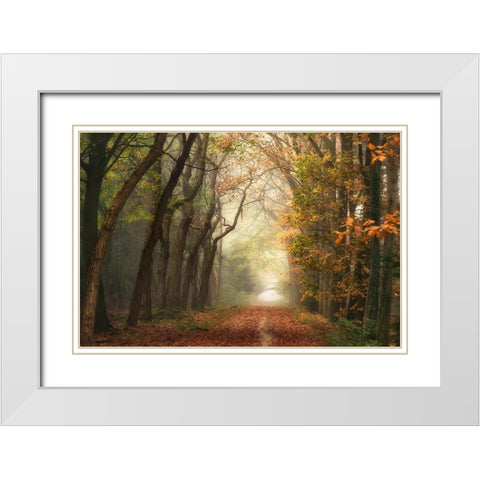 Path of Dreams White Modern Wood Framed Art Print with Double Matting by Van de Goor, Lars