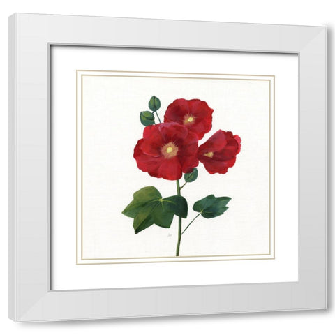 Simple Botanical I White Modern Wood Framed Art Print with Double Matting by Nan
