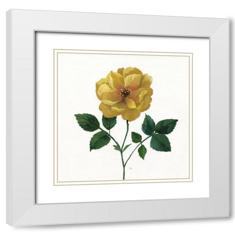 Simple Botanical III White Modern Wood Framed Art Print with Double Matting by Nan