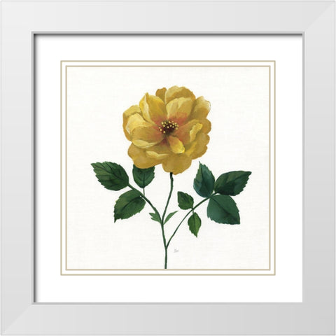 Simple Botanical III White Modern Wood Framed Art Print with Double Matting by Nan