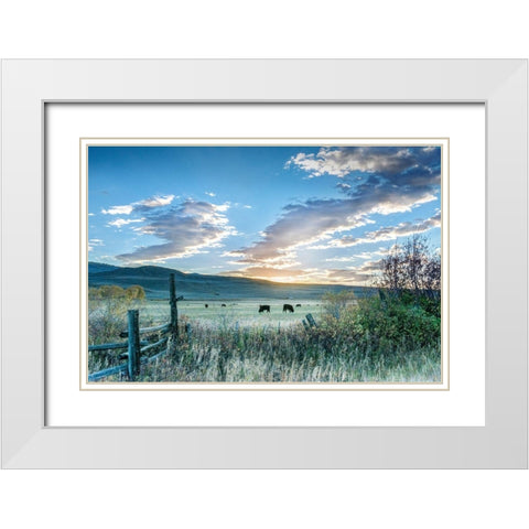 Ranch Sunrise White Modern Wood Framed Art Print with Double Matting by Delimont, Danita