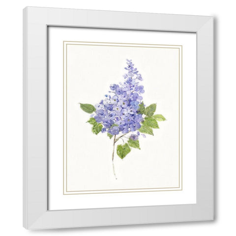 Dainty Botanical Lilac White Modern Wood Framed Art Print with Double Matting by Swatland, Sally