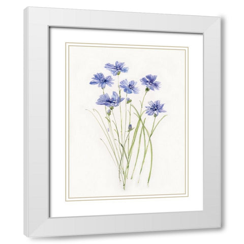 Dainty Botanical Cornflower White Modern Wood Framed Art Print with Double Matting by Swatland, Sally