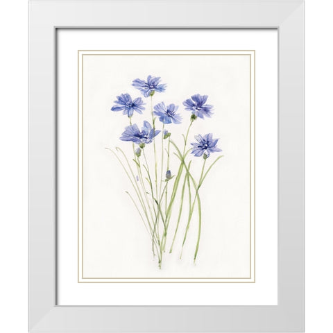 Dainty Botanical Cornflower White Modern Wood Framed Art Print with Double Matting by Swatland, Sally