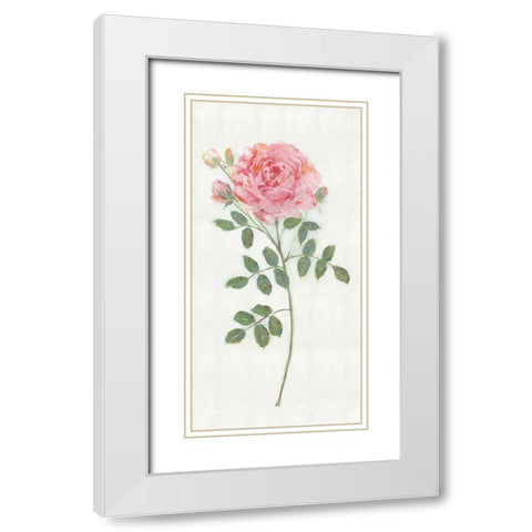 Single Stem II White Modern Wood Framed Art Print with Double Matting by Swatland, Sally