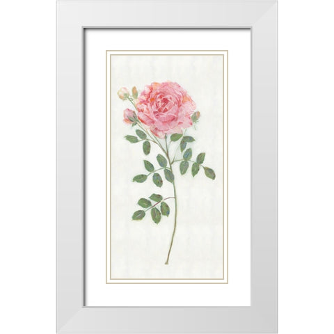 Single Stem II White Modern Wood Framed Art Print with Double Matting by Swatland, Sally