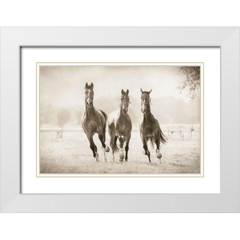 The Young Ones White Modern Wood Framed Art Print with Double Matting by Van de Goor, Lars