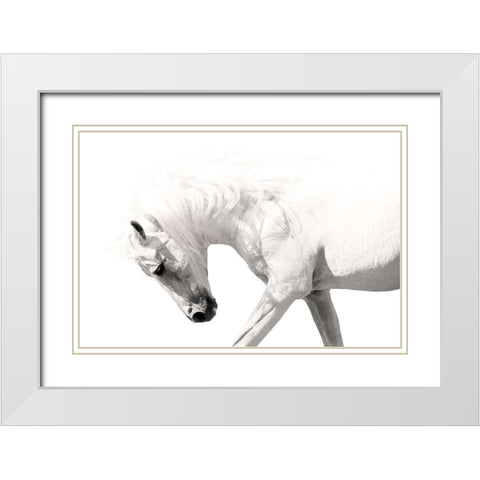 Neutral Stallion White Modern Wood Framed Art Print with Double Matting by Klopfer, Lee