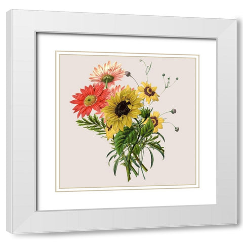 Sunflower White Modern Wood Framed Art Print with Double Matting by Jill, Susan