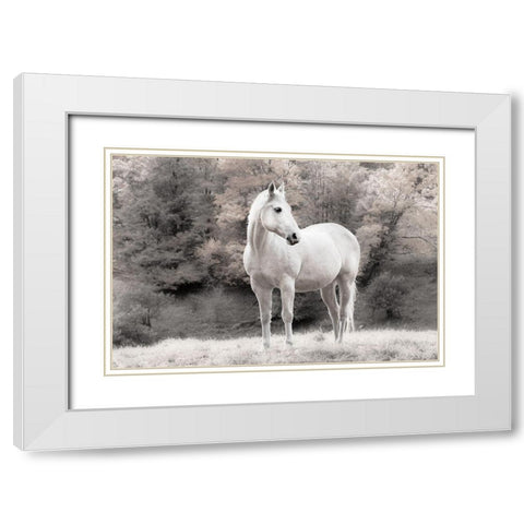 White Mare White Modern Wood Framed Art Print with Double Matting by Jannsen, Brian