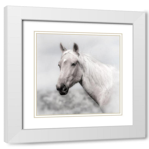 Wild and Free White Modern Wood Framed Art Print with Double Matting by Archer, Ken