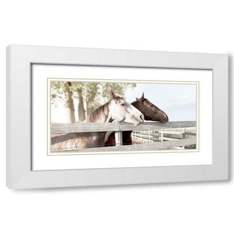 Friendly Visit White Modern Wood Framed Art Print with Double Matting by Robinson, Carol