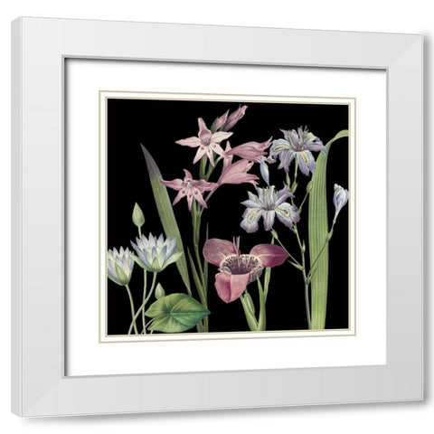 Dusty Plum Botanical II White Modern Wood Framed Art Print with Double Matting by Jill, Susan